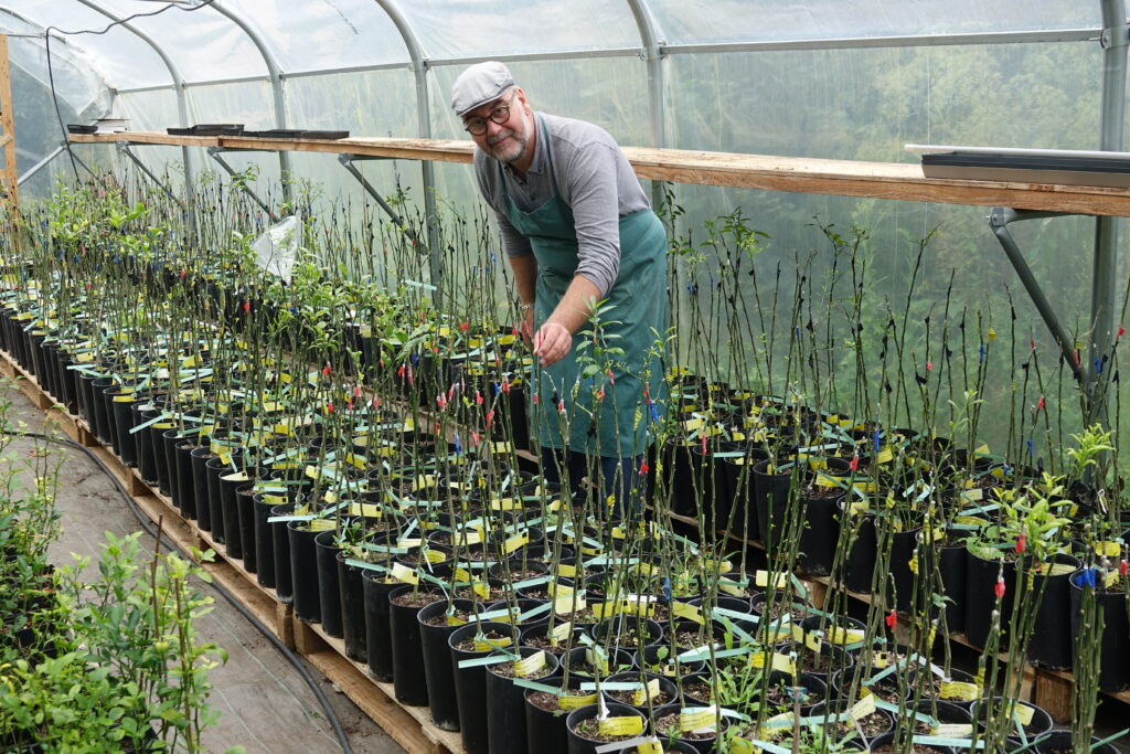 Bruno Monchâtre au milieu de sa production de plants d'agrumes